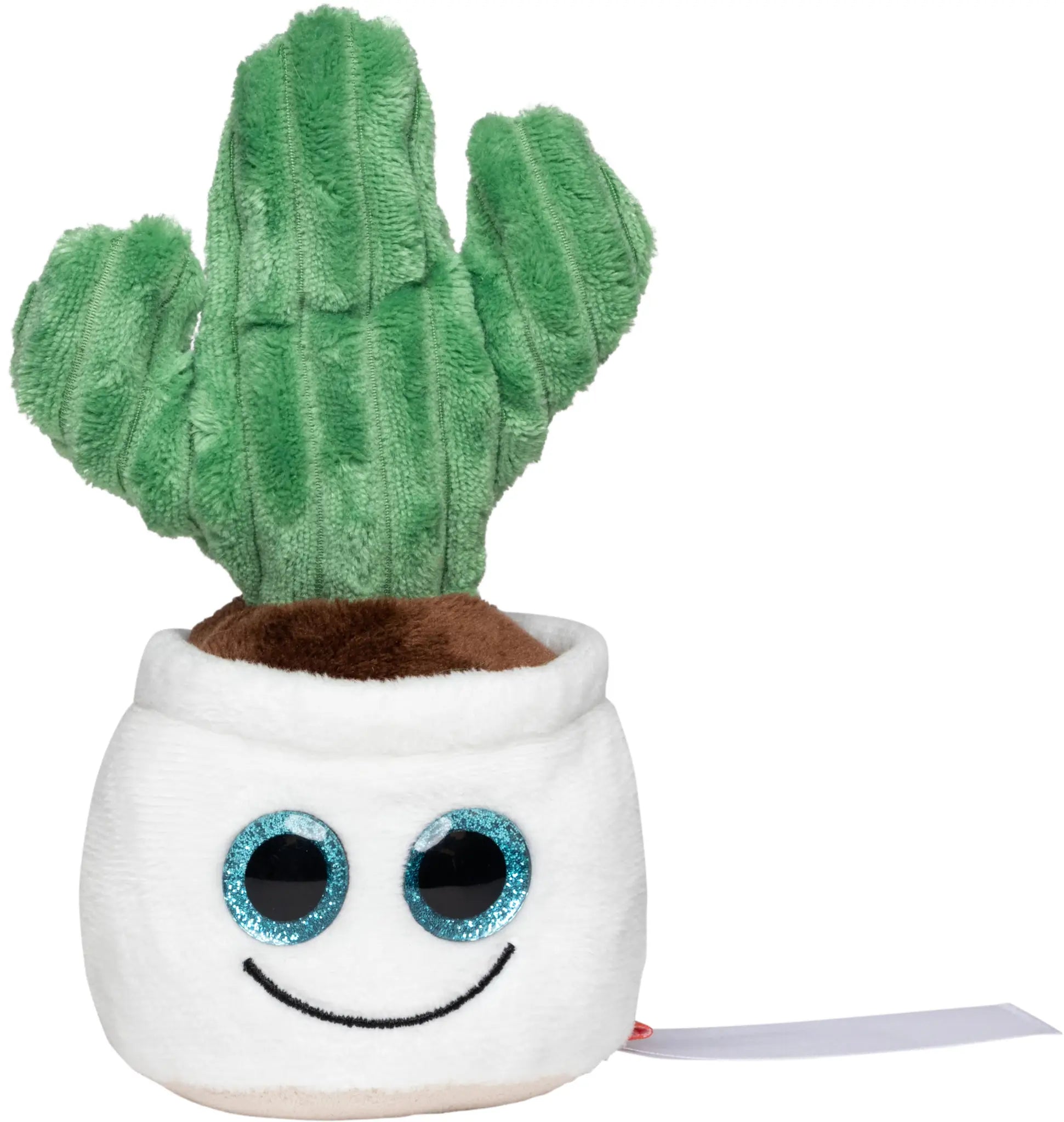 all-groups Schmoozies Evergreenies Cactus